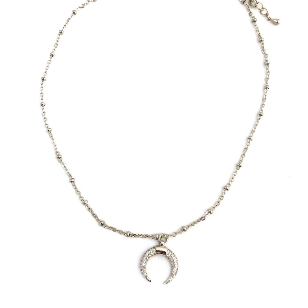 Silver Double Horn Necklace